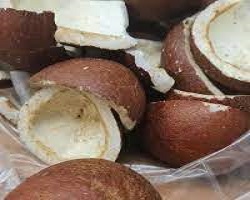 تصویر 4 از قیمت خرید نارگیل خشک کاسه ای + فروش ویژه